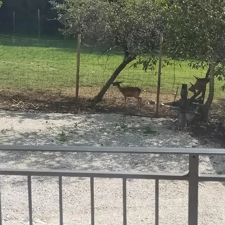 E De Poanute *